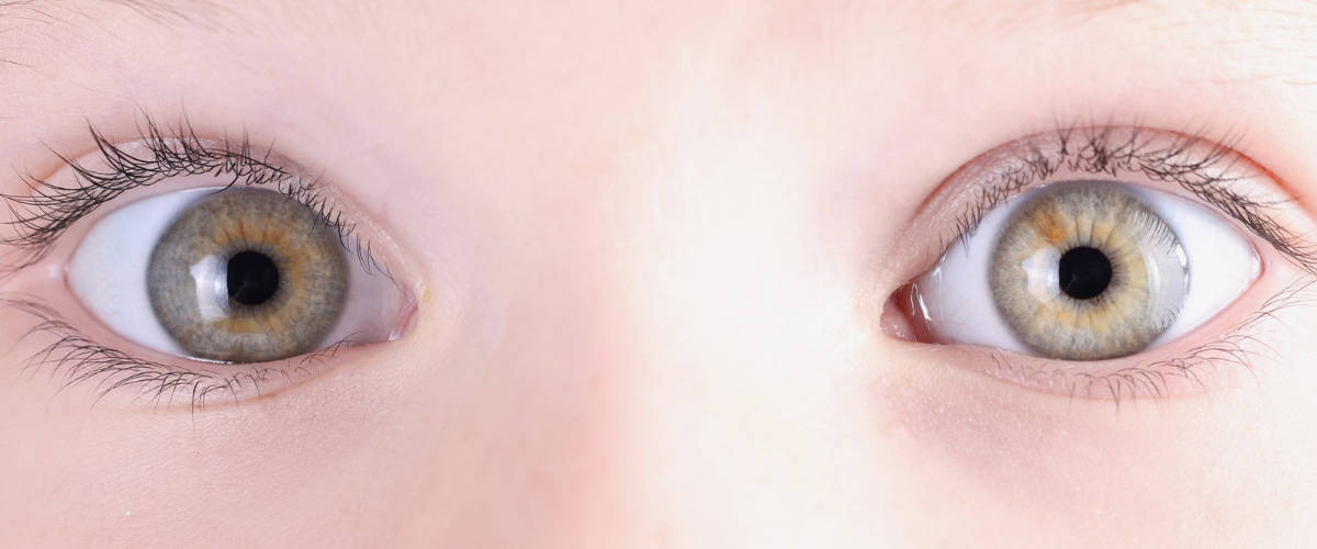 primer plano ojos de niño