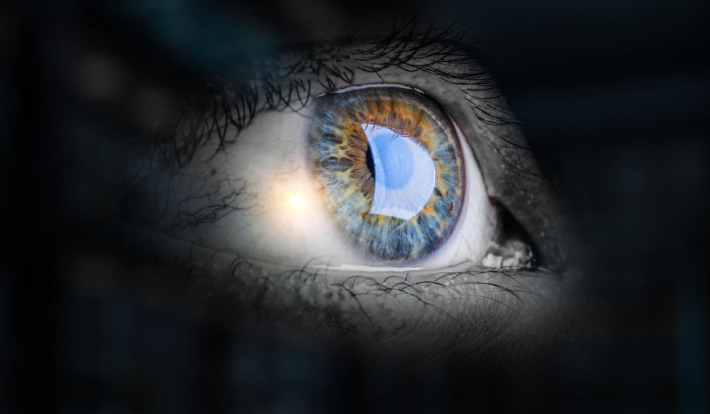 Qué es la visión nocturna y cuáles son los factores que podrían afectarla?  - Seey eyewear