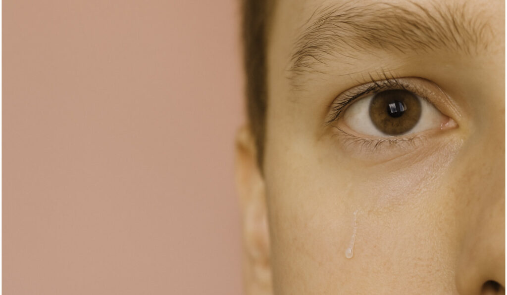 Ojos: las cosas raras, increíbles y útiles que nunca te dijeron